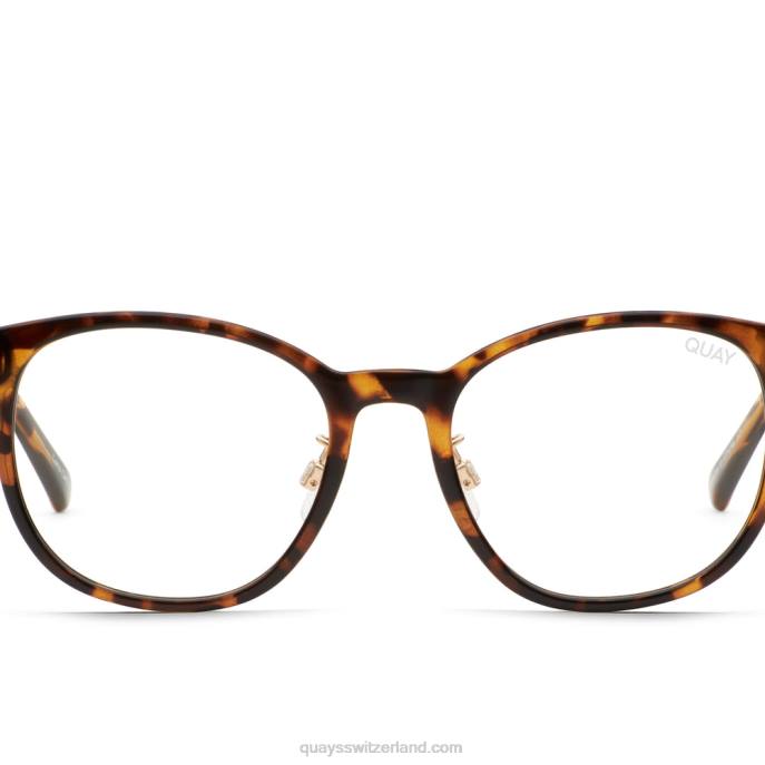 Blueprint Medium Low Bridge-Passform 00HB1096 Schildkröte/klarQuay - Quay brille