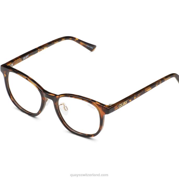 Blueprint Medium Low Bridge-Passform 00HB1096 Schildkröte/klarQuay - Quay brille