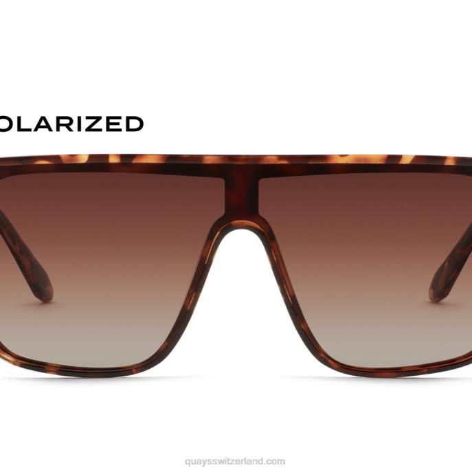 Einbruch der Dunkelheit 00HB151 schildpatt/braun polarisiert Männer Quay - Quay brille