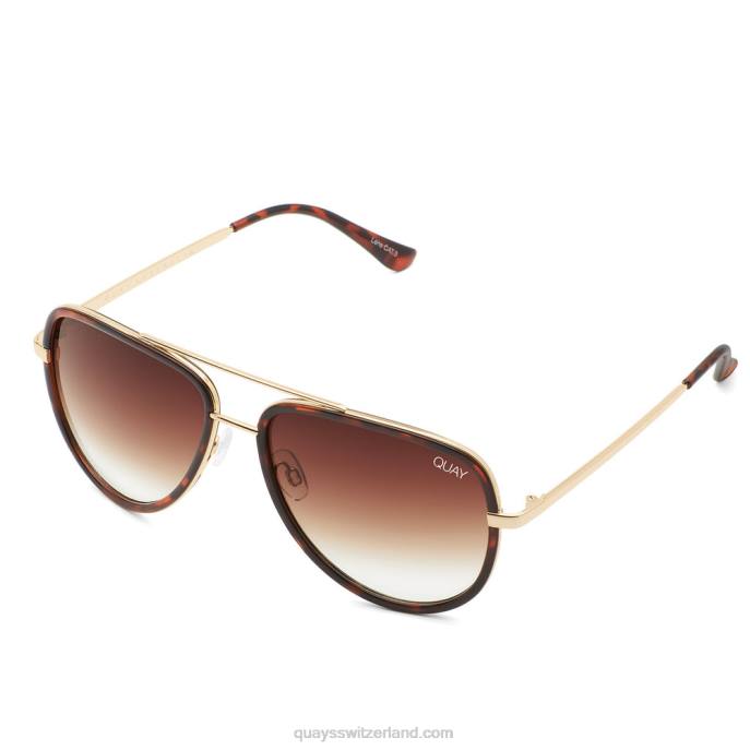 alles drin 00HB576 schildpatt/braun verblassen Männer Quay - Quay brille
