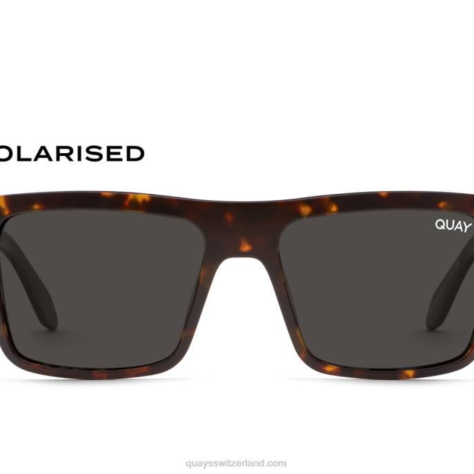 lass es laufen 00HB561 schildpatt/schwarz polarisiert Männer Quay - Quay brille