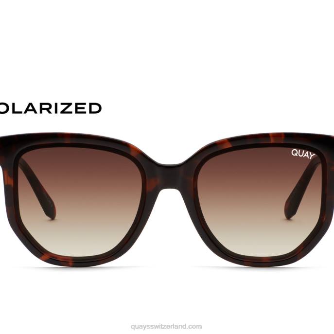Quay sonnenbrille - Kaffee laufen 00HB194 schildpatt/braun polarisiertQuay