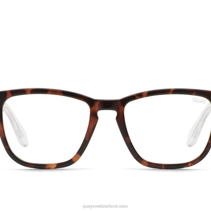festverdrahtet groß 00HB684 trtclr/bltQuay - Quay brille